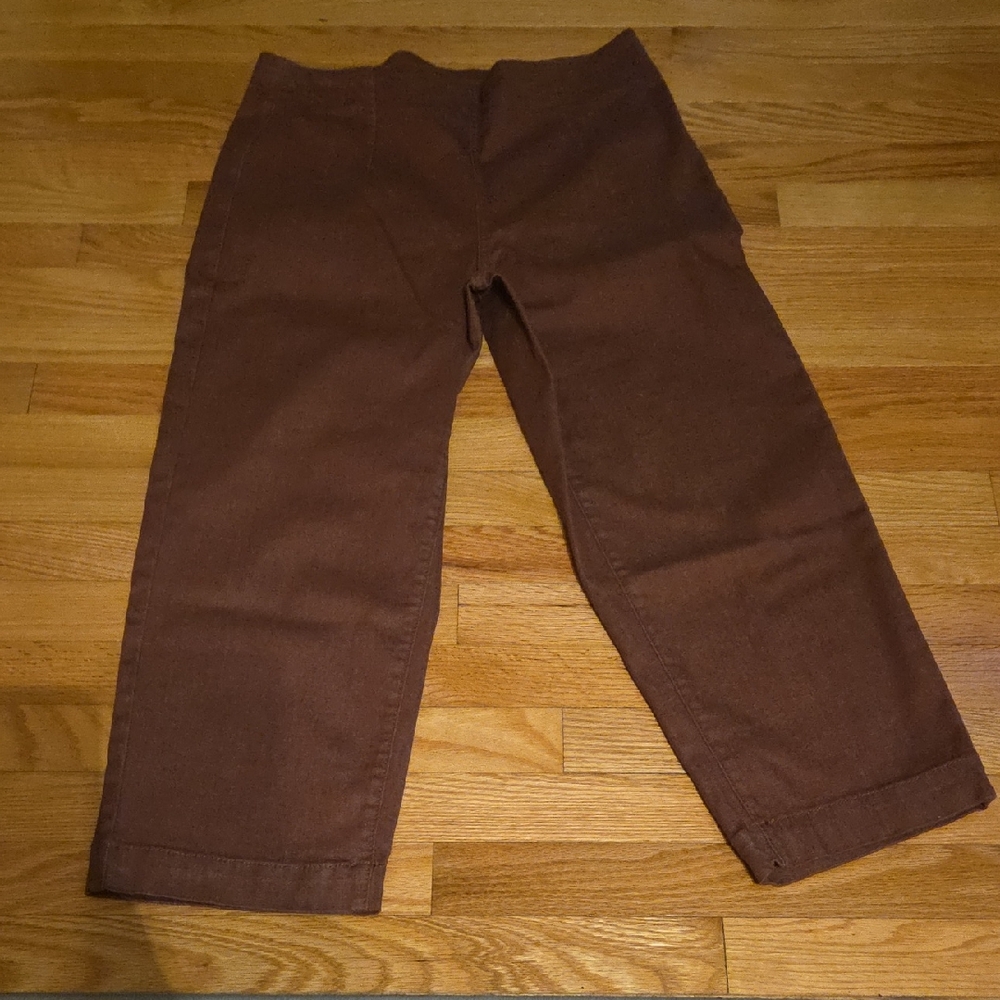 DG2 By Diana Gilman  Brown Trousers